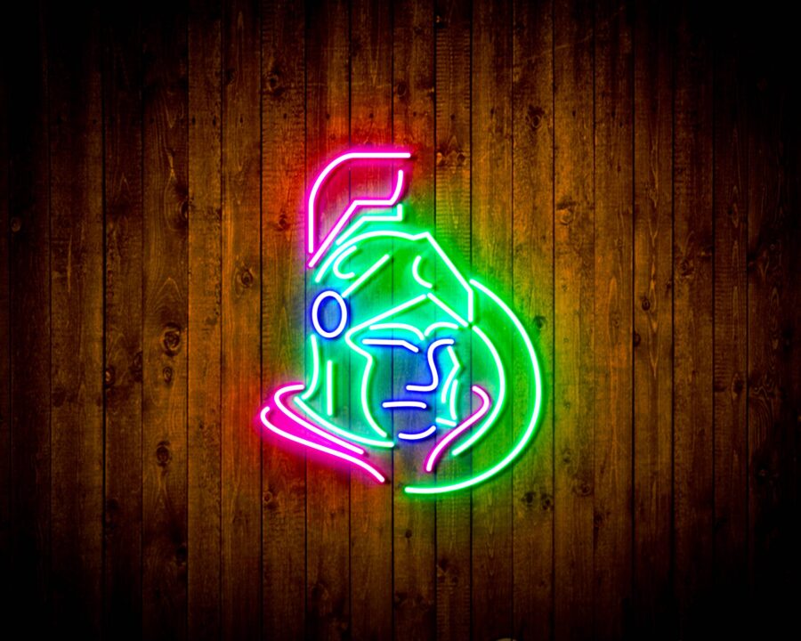 Ottawa Senators Bar Neon Flex Led Sign Style 3 - Image 4