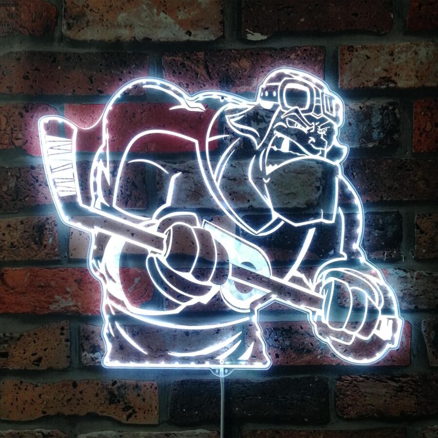 Philadelphia Flyers Mascot Dynamic Rgb Edge Lit Led Sign - Image 5